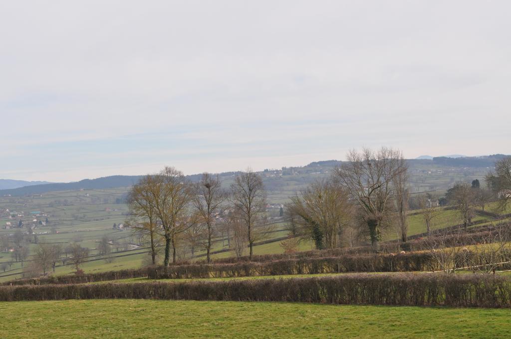 Escale En Charolais Brionnais Bed and Breakfast Saint-Julien-de-Civry Kamer foto